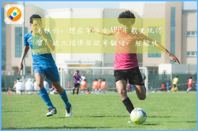 老铁们，想在华体会APP下载里玩得溜？这几招保你效率翻倍，经验收益拿到手软！