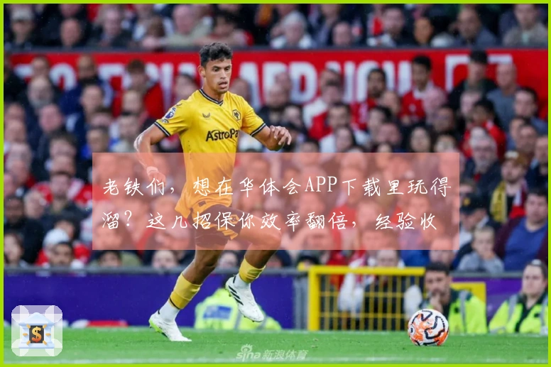 老铁们，想在华体会APP下载里玩得溜？这几招保你效率翻倍，经验收益拿到手软！